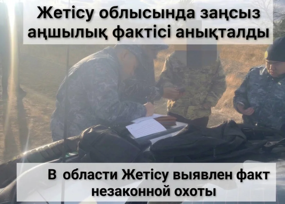 В области Жетісу выявлен факт незаконной охоты — Фото 1
