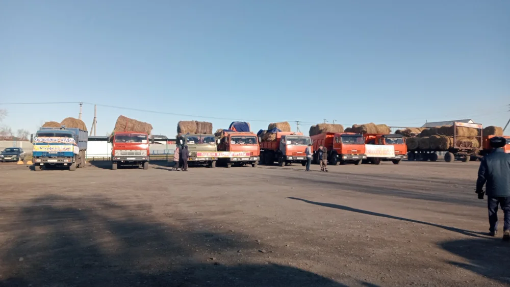В городе Петропавловск состоялась областная ярмарка сельскохозяйственной продукции — Фото 14