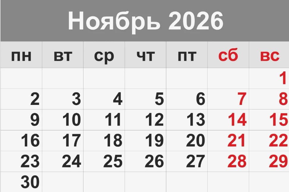Основные налоговые отчеты и обязательные платежи за ноябрь 2026 года