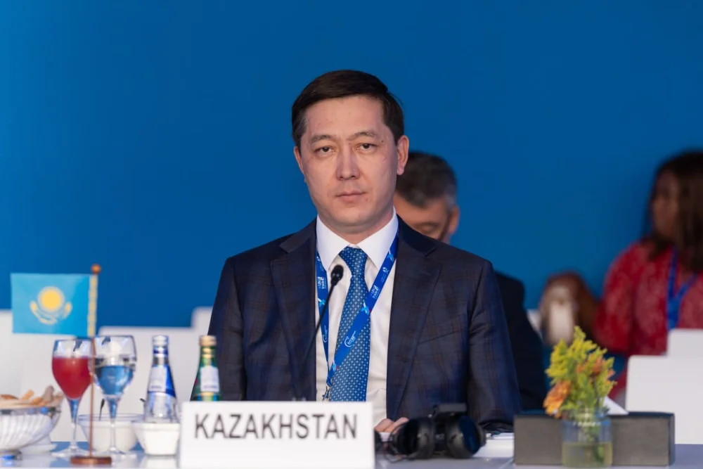 Заместитель Министра иностранных дел Казахстана А.Зебешев принял участие во Всемирном инвестиционном форуме ООН в Дохе — Фото 8