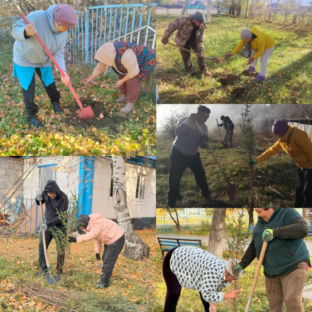 🌳 В Солоновском сельском округе проведена осенняя посадка деревьев!