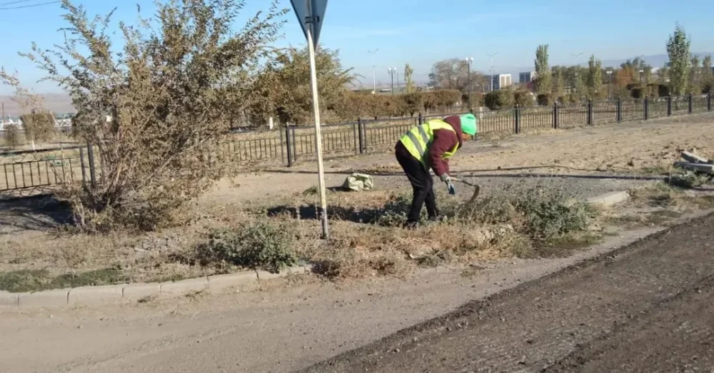 В рамках программы «Чистый Казахстан» в Сарыозекском сельском округе ежедневно проводятся уборочные работы — Фото 3