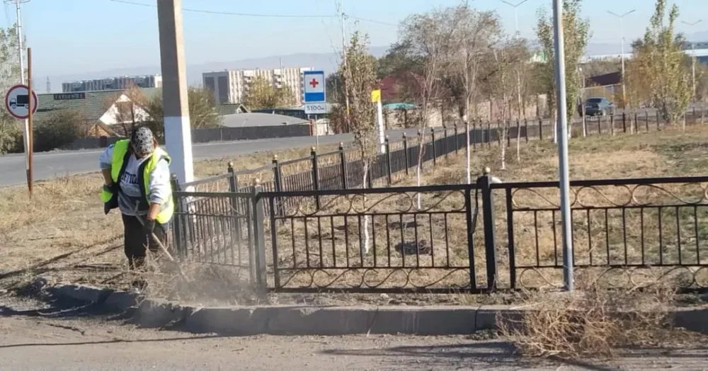 В рамках программы «Чистый Казахстан» в Сарыозекском сельском округе ежедневно проводятся уборочные работы — Фото 7
