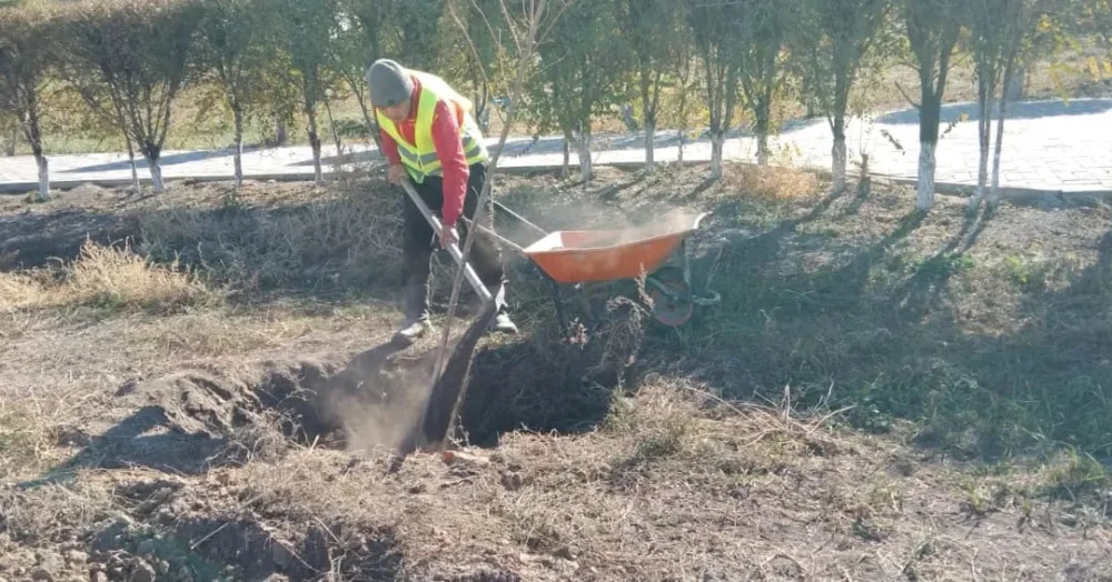 В рамках программы «Чистый Казахстан» в Сарыозекском сельском округе ежедневно проводятся уборочные работы — Фото 2
