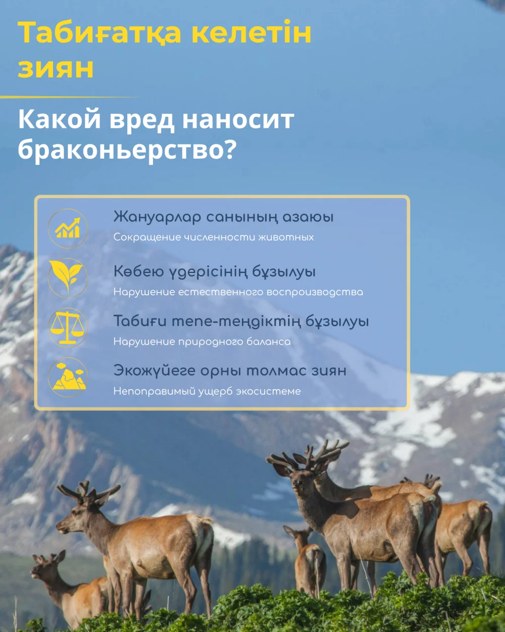 Какая ответственность предусмотрена за незаконную охоту? — Фото 4