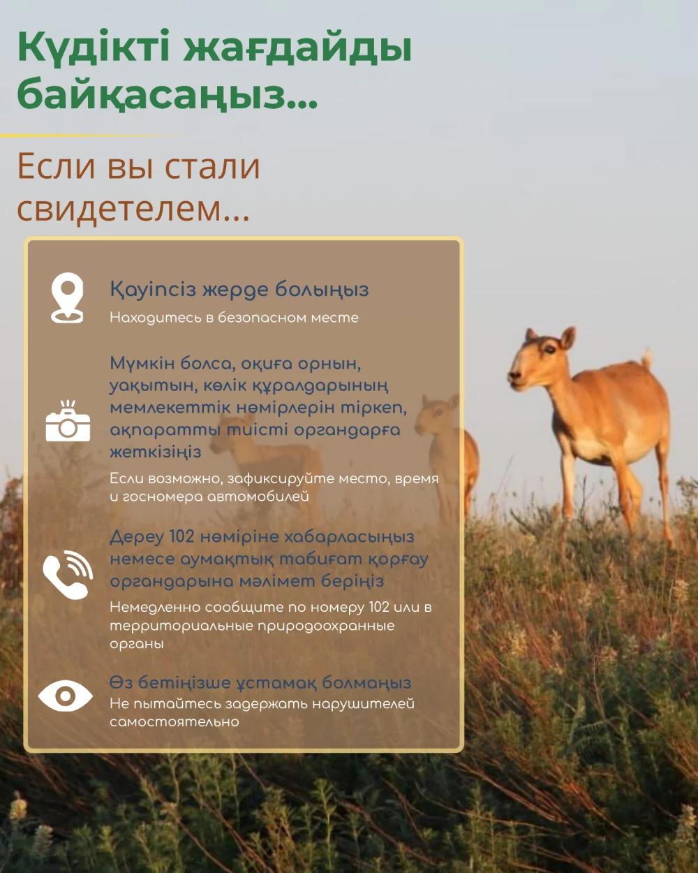 Какая ответственность предусмотрена за незаконную охоту? — Фото 6