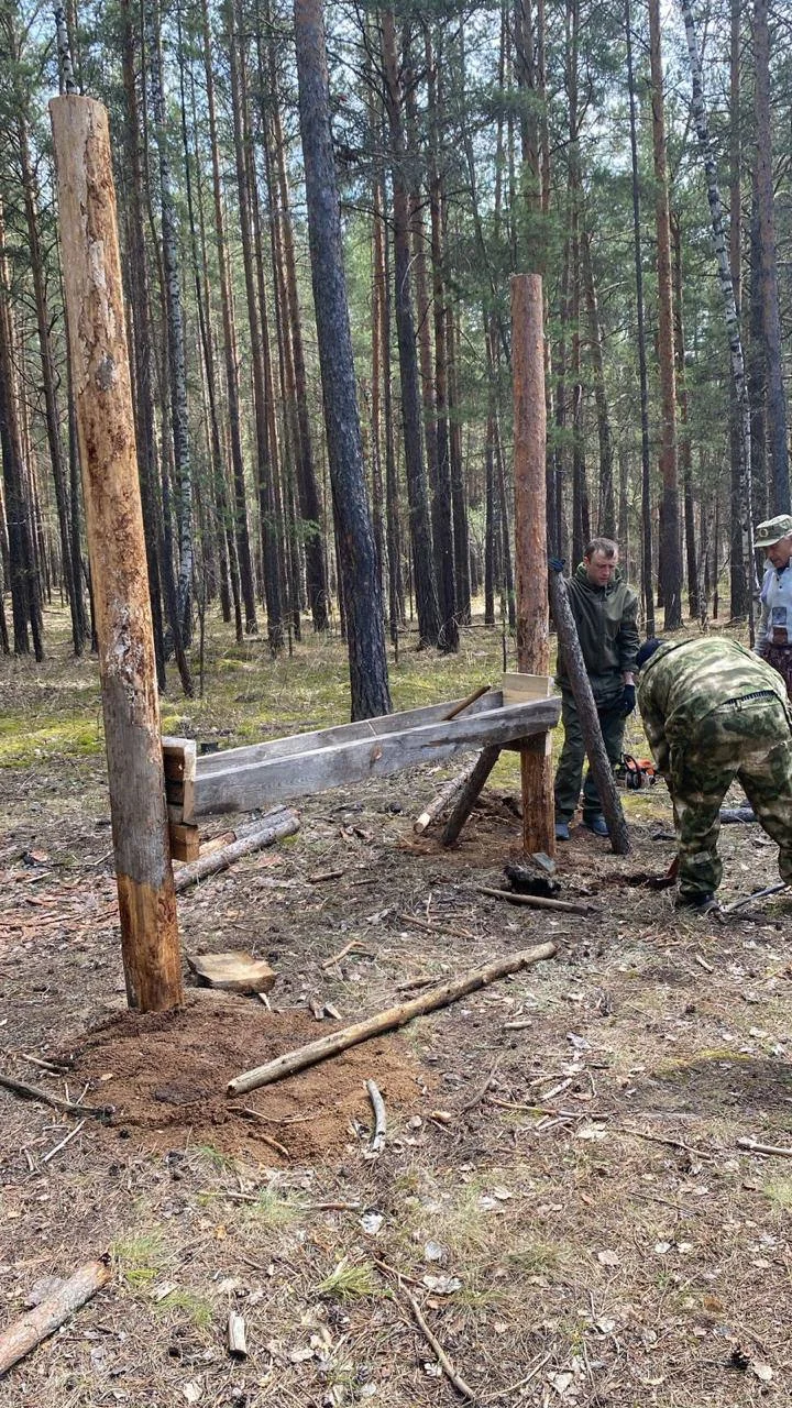 Зима еще не наступила, а запасы корма для лесных обитателей уже подготовлены — Фото 23