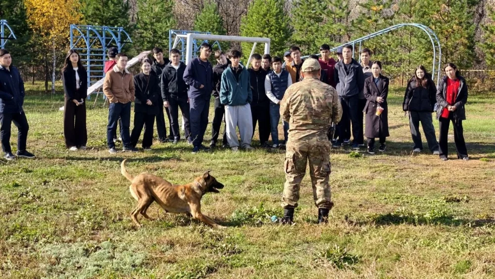 «От вездеходов до «четвероногих героев...» — Фото 3