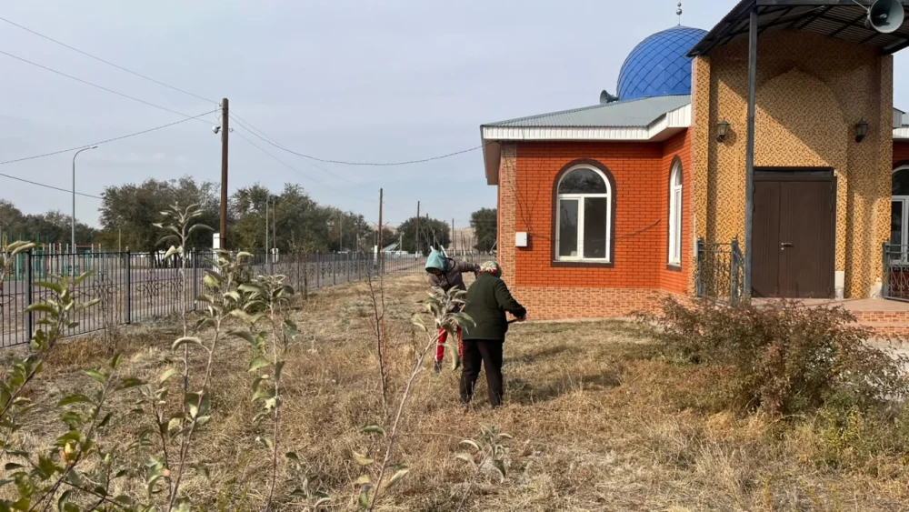 В сельском округе Сарыбастау прошла акция «Таза Қазақстан» — Фото 3