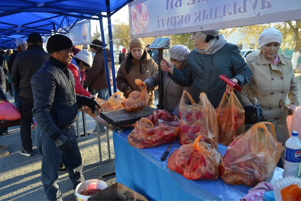 В ШАЛКАРЕ ОРГАНИЗОВАНА ЯРМАРКА СЕЛЬСКОХОЗЯЙСТВЕННОЙ ПРОДУКЦИИ — Фото 4
