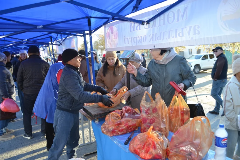 В ШАЛКАРЕ ОРГАНИЗОВАНА ЯРМАРКА СЕЛЬСКОХОЗЯЙСТВЕННОЙ ПРОДУКЦИИ — Фото 2