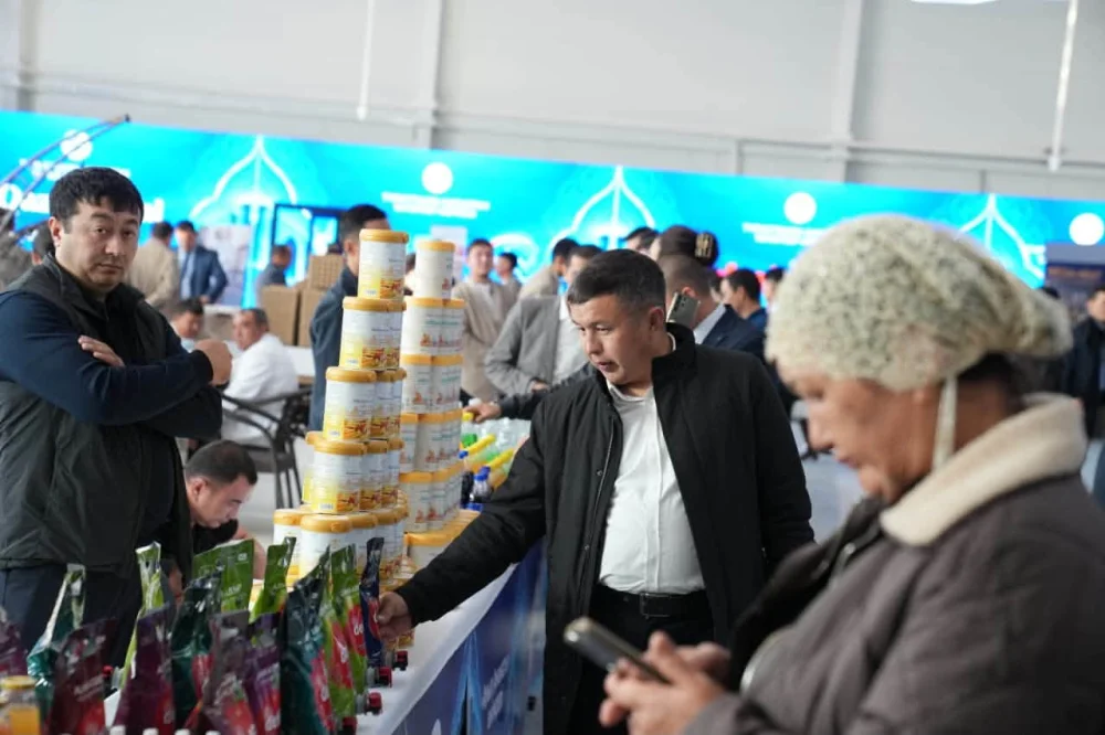 В ТУРКЕСТАНСКОЙ ОБЛАСТИ ОТКРЫЛСЯ СОВРЕМЕННЫЙ ВЫСТАВОЧНЫЙ ЦЕНТР — Фото 6