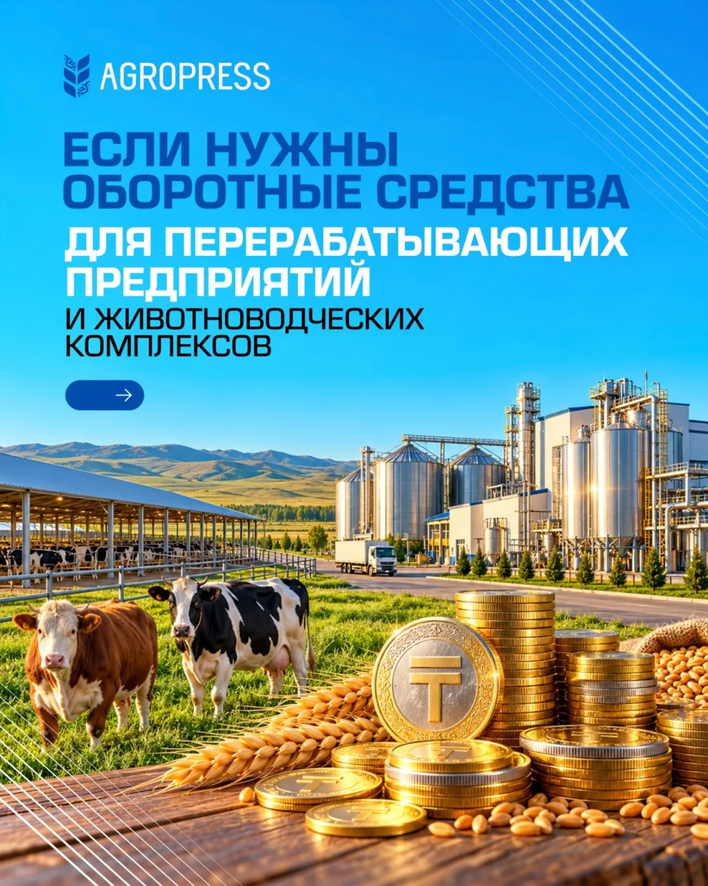 Какие программы финансирования доступны агробизнесу — Фото 5