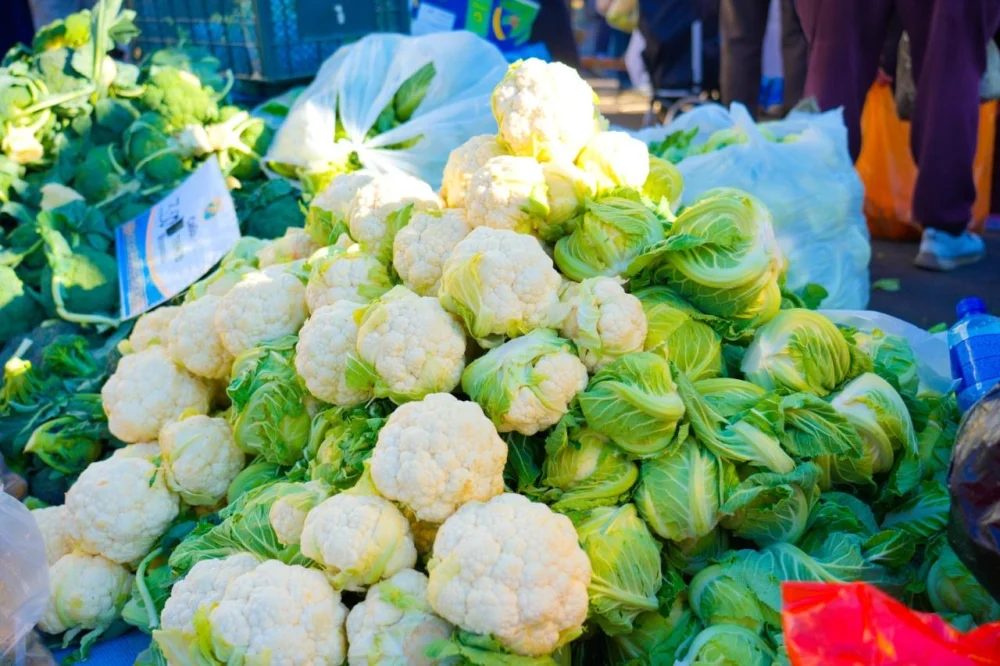 500 тонн продуктов, яркое шоу и угощения: как прошла заключительная сельхозярмарка в Астане — Фото 8