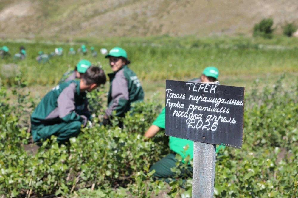 В Каргалинском районе действует питомник, где выращивают 1,4 млн саженцев — Фото 3