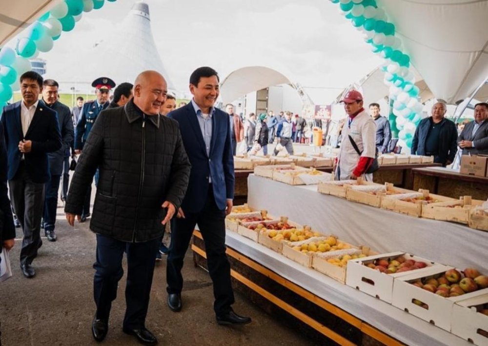 В НУР-СУЛТАНЕ ПРОХОДИТ ЯРМАРКА СЕЛЬСКОХОЗЯЙСТВЕННОЙ ПРОДУКЦИИ ТУРКЕСТАНСКОЙ ОБЛАСТИ