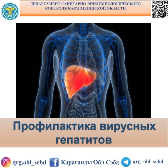 Профилактика вирусных гепатитов