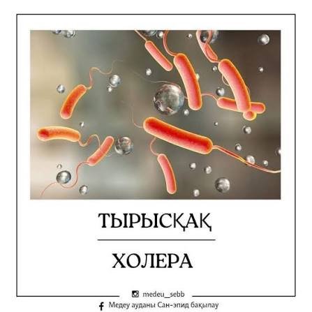 Холера – особо опасное заболевание !!!