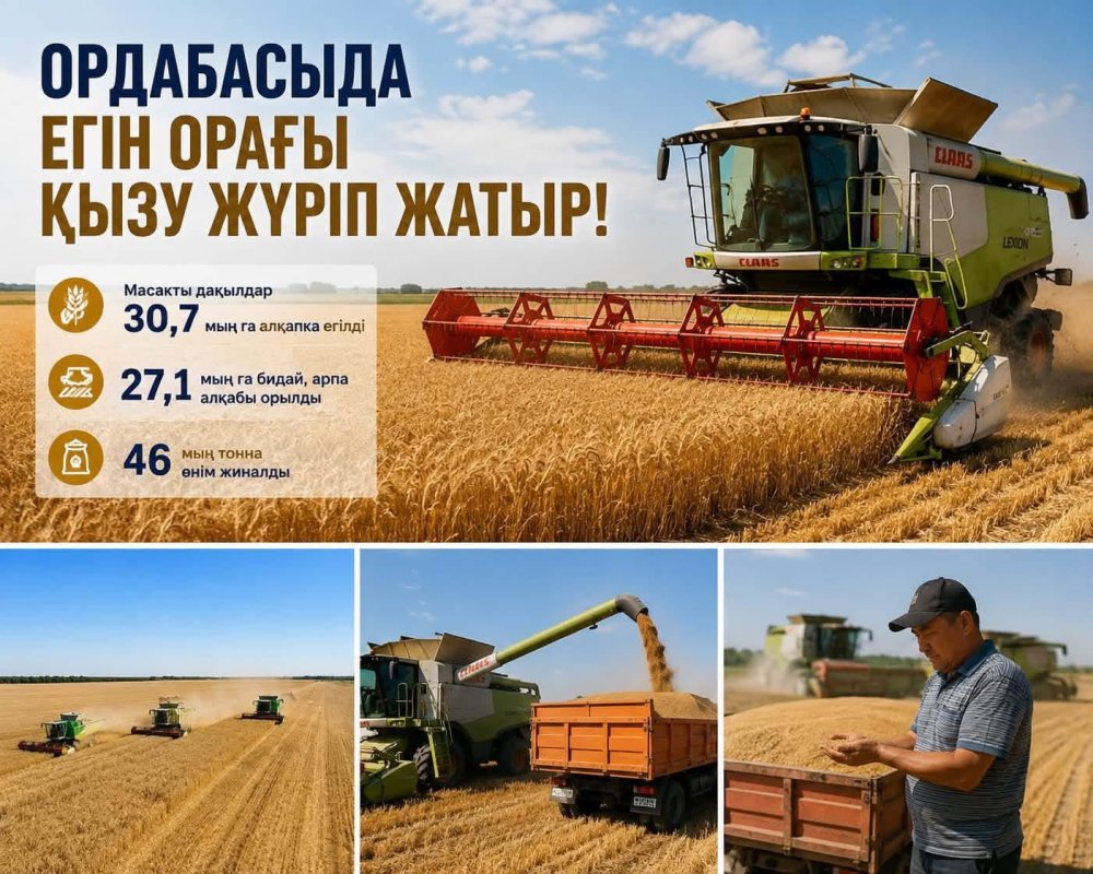 ТУРКЕСТАН: В ОРДАБАСЫ СОБРАНО 46 ТЫС. ТОНН ЗЕРНА