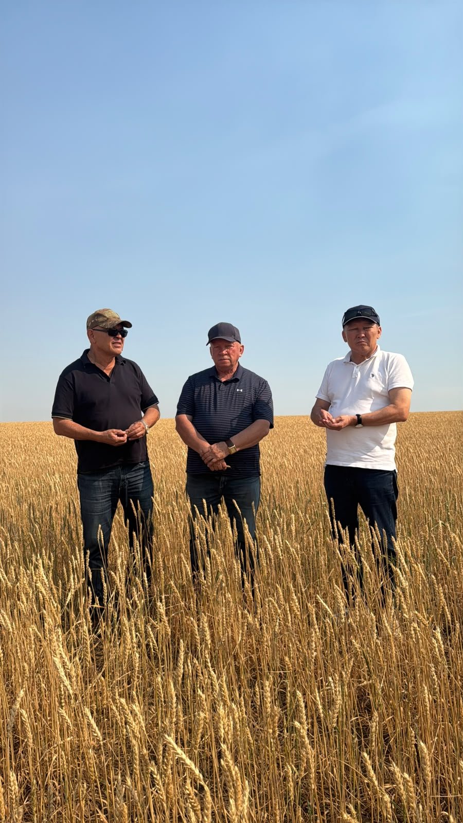 🌾В Жаркаинском районе продолжается уборочная кампания