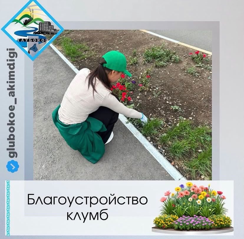 Цветущие клумбы — это не только украшение поселка, но и часть комфортной и уютной городской среды