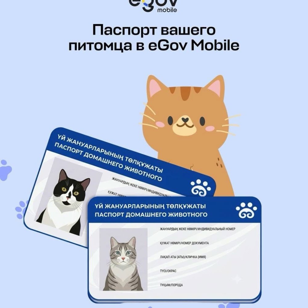 Паспорт вашего питомца всегда под рукой.