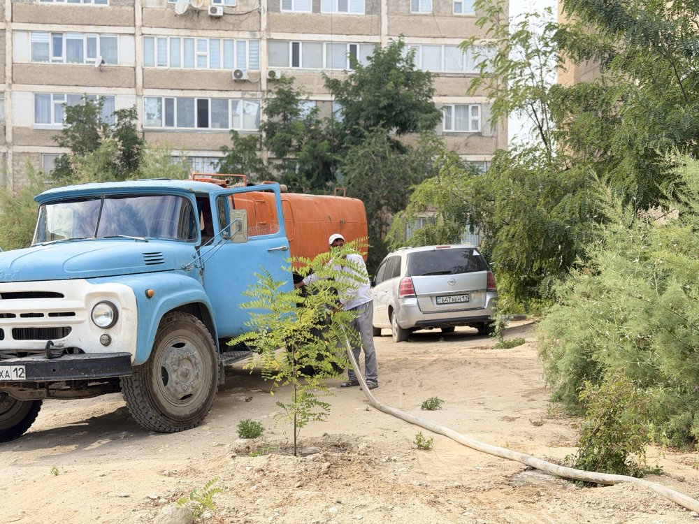 В Актау регулярно проводится полив зеленых насаждений
