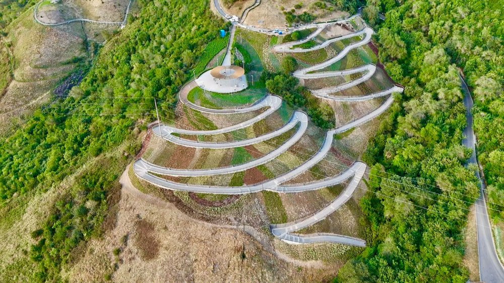На Кок-Тобе появился новый цветочный склон площадью 4 гектара