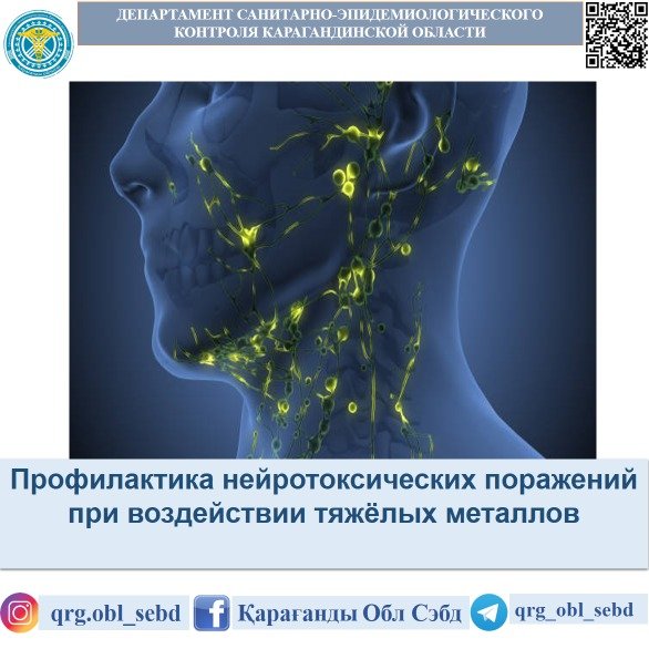 Профилактика нейротоксических поражений при воздействии тяжёлых металлов