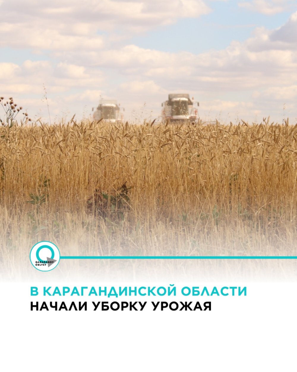 В Карагандинской области начали уборку урожая