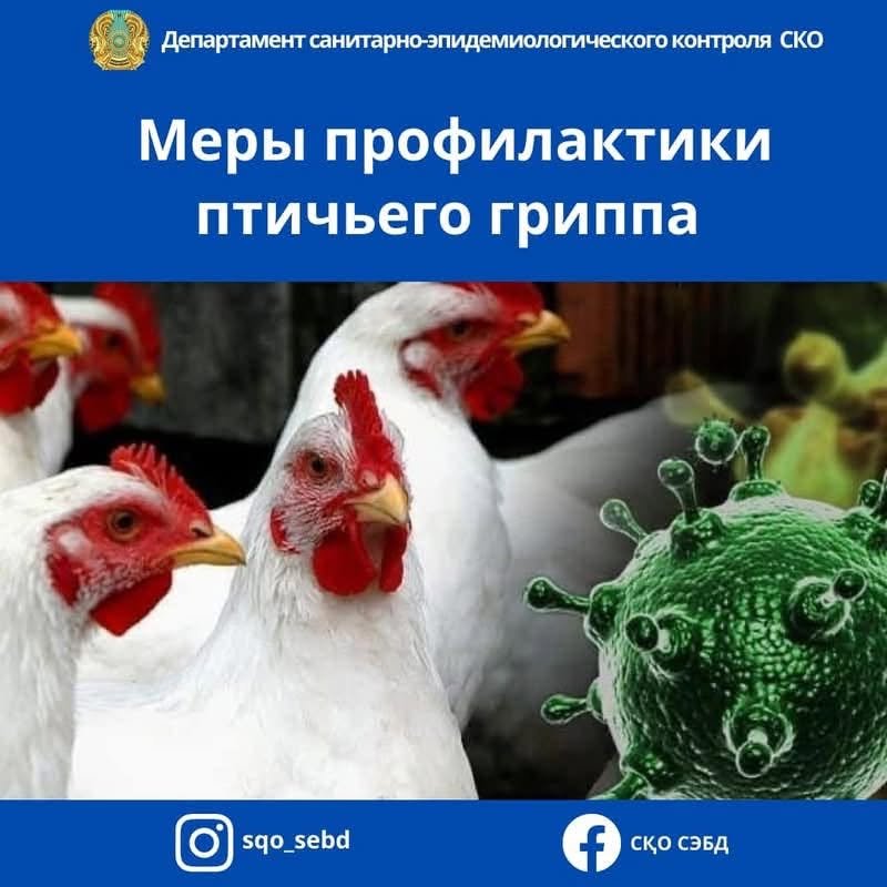 🐓Меры профилактики птичьего гриппа