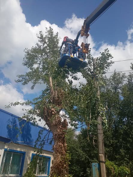 "Таза Казахстан"