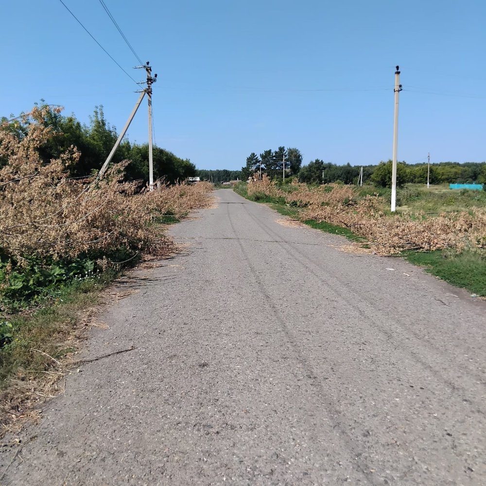 20 августа 2026 года в селе Чапаево в рамках акции «Таза Қазақстан» прошёл «Чистый четверг».
