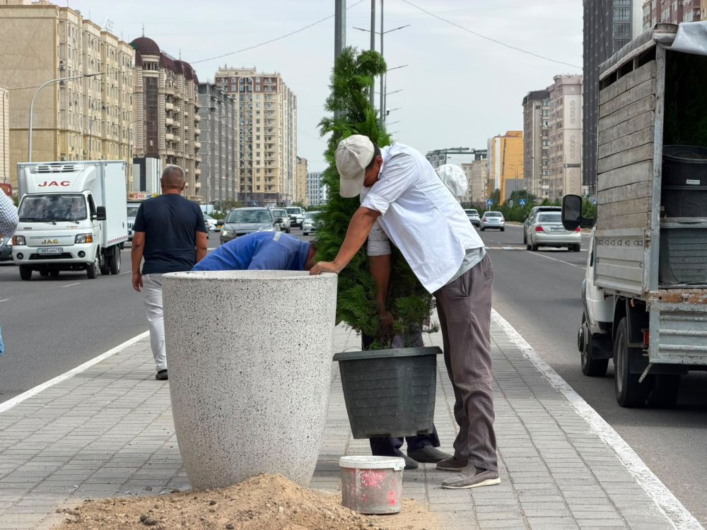 В Актау установили 50 декоративных вазонов