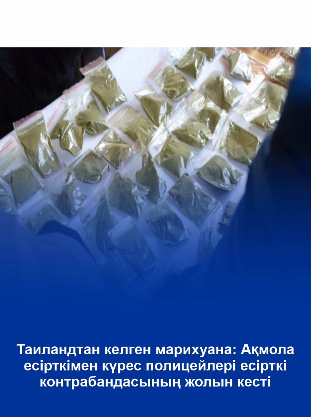 Марихуана из Таиланда: акмолинские наркоборцы пресекли контрабанду наркотиков
