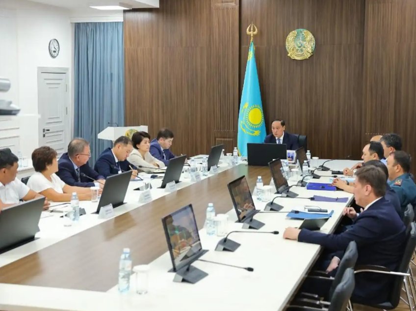 По поручению Президента: за последние пять лет в Жамбылской области высажено более 113 млн деревьев