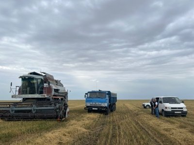 Осенняя страда набирает ход
