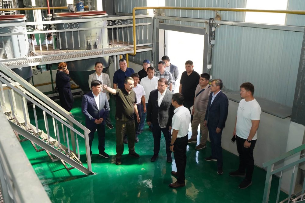 ТУРКЕСТАН: В ОРДАБАСЫ В ЭТОМ ГОДУ ЗАПУСТЯТ ЗАВОД ПО ПЕРЕРАБОТКЕ КОСТЕЙ СКОТА