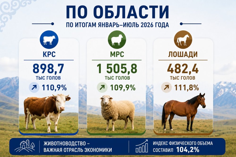 В области Абай растут показатели животноводства