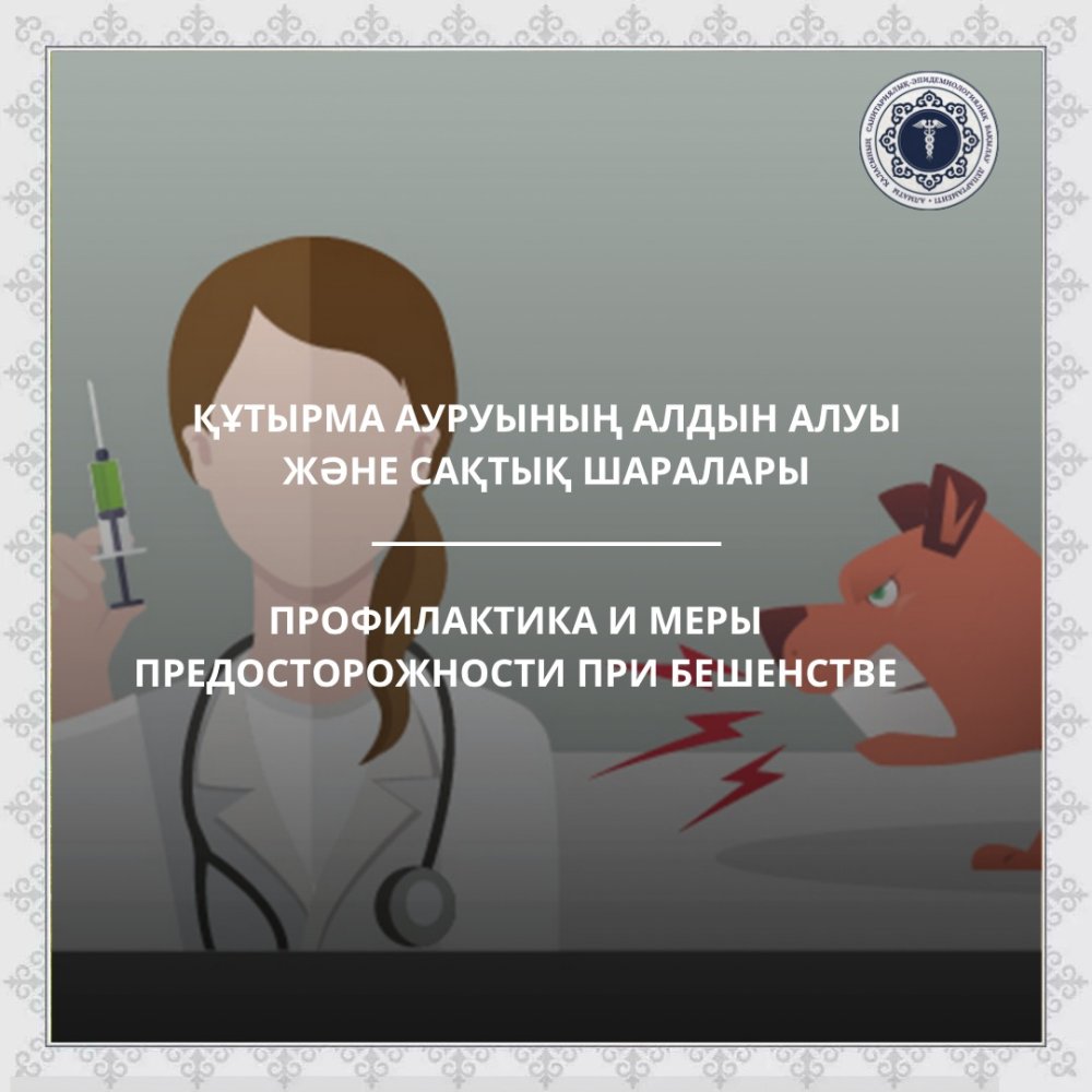 Профилактика и меры предосторожности при бешенстве