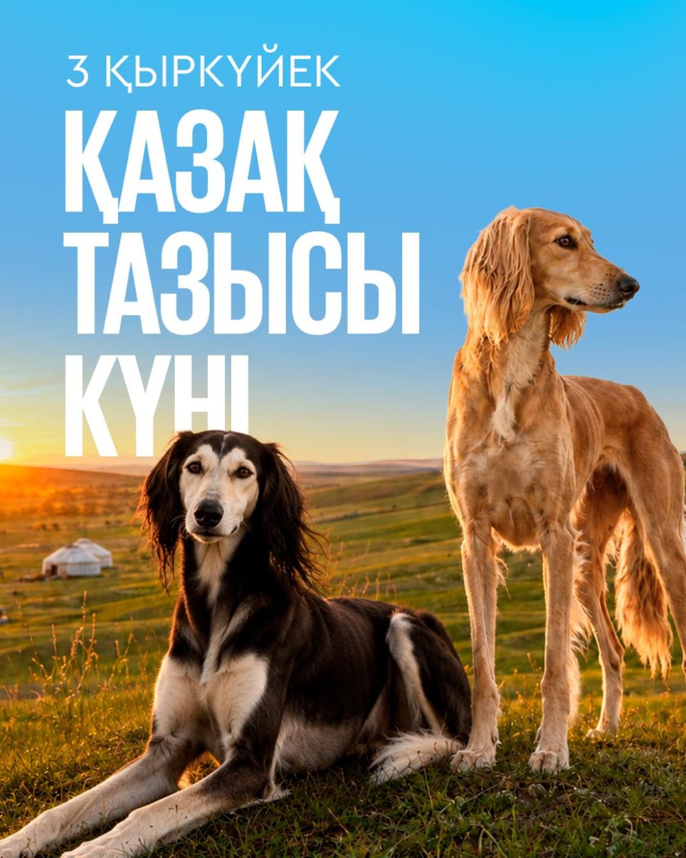 3 сентября — день казахского тазы