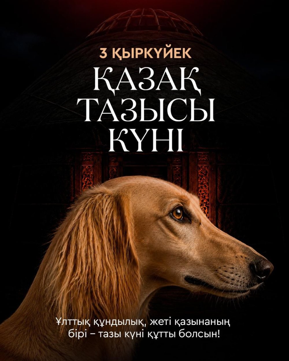 Сегодня мы впервые отмечаем День казахского тазы и тобета.