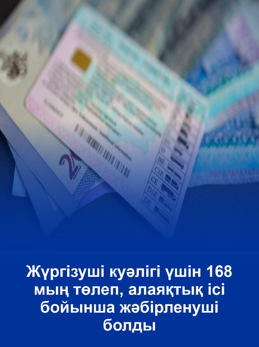 Заплатил 168 тысяч за водительские права — и стал потерпевшим по делу о мошенничестве