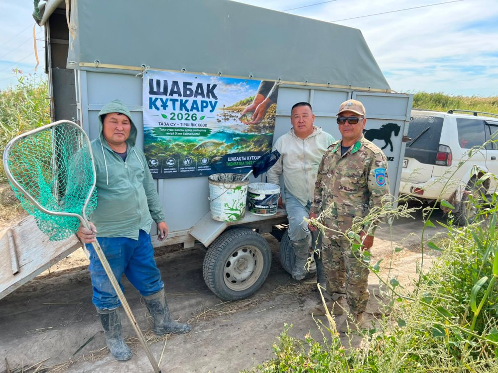 Интенсивно проводятся мероприятия по спасению мальков